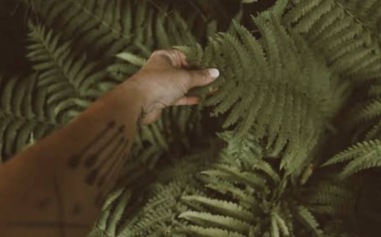 Honoring the Loss: A Guided Meditation for Pregnancy Loss