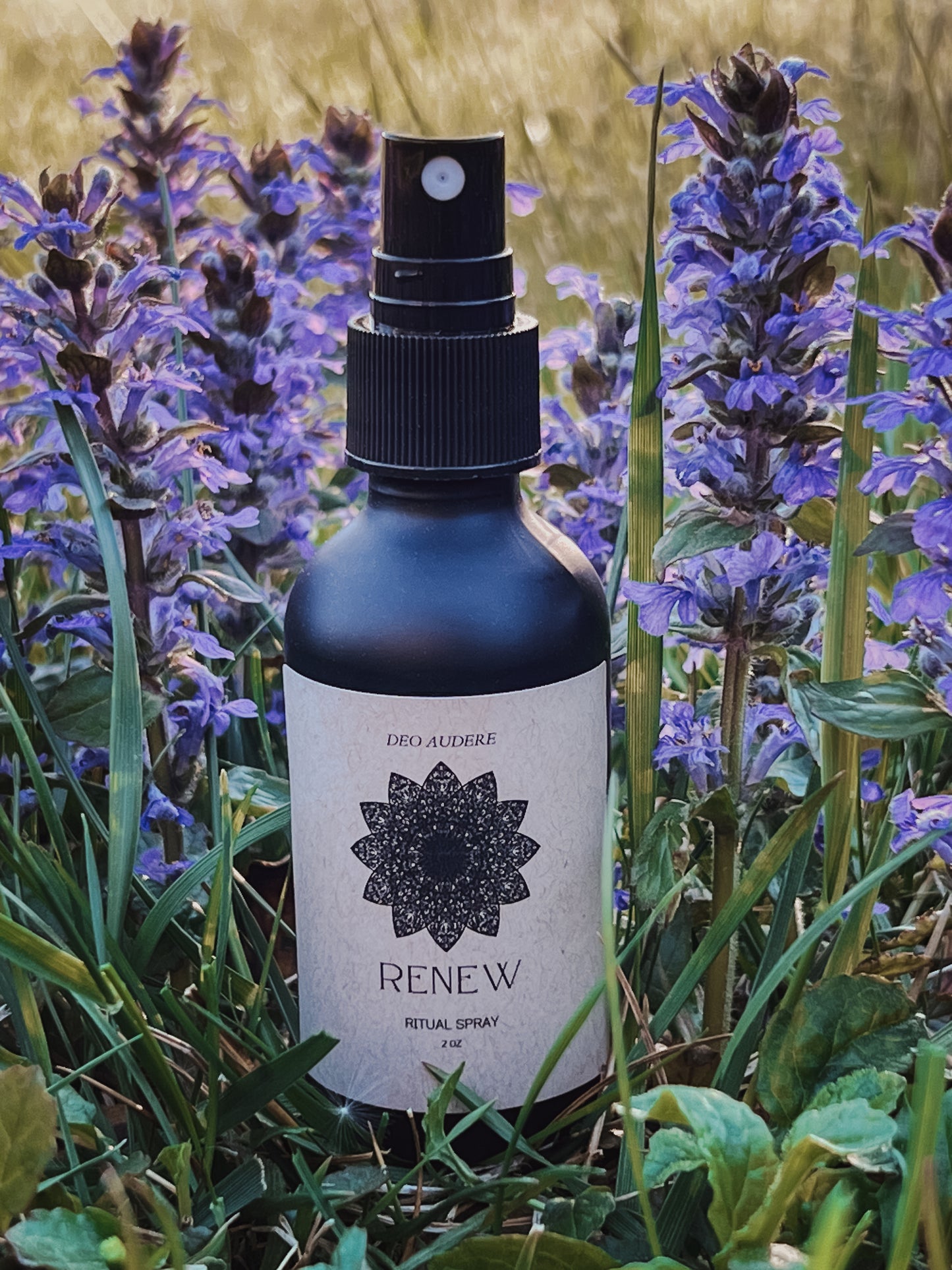 Renew Ritual Spray