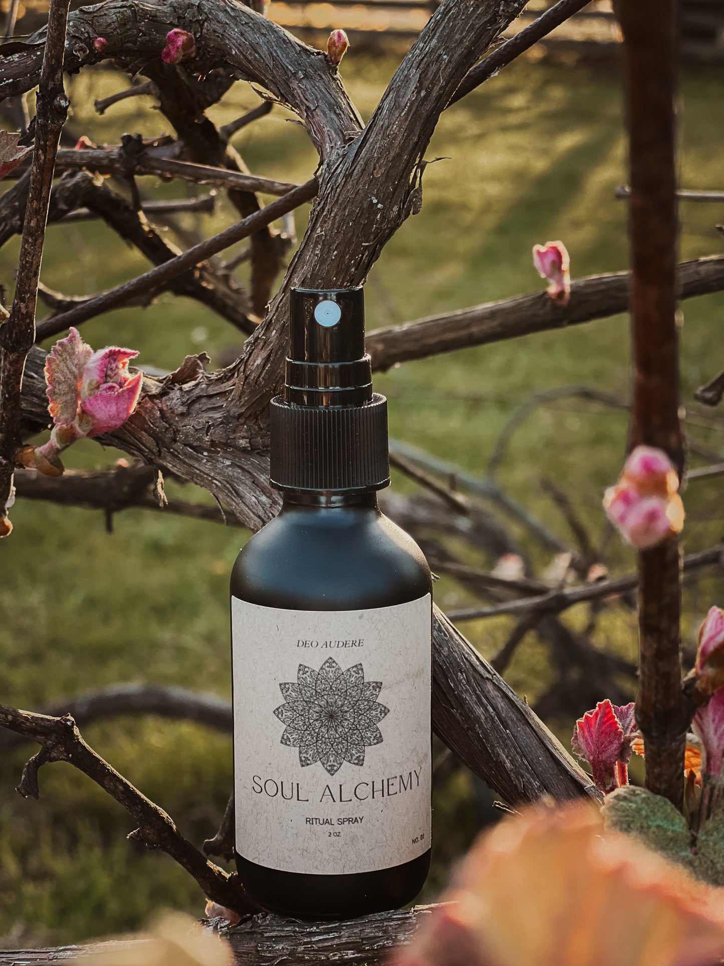 Soul Alchemy Ritual Spray